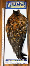 Whiting American Hackle