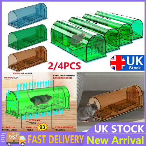 6pcs mouse trap - 2/4/6pcs,