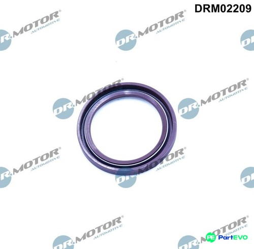 Motor automotive crankshaft - dr.motor,