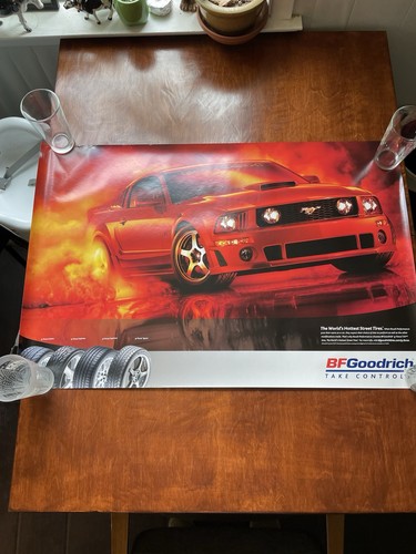 Roush mustang goodrich - mustang,