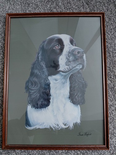 Signed framed vintage - signed, print