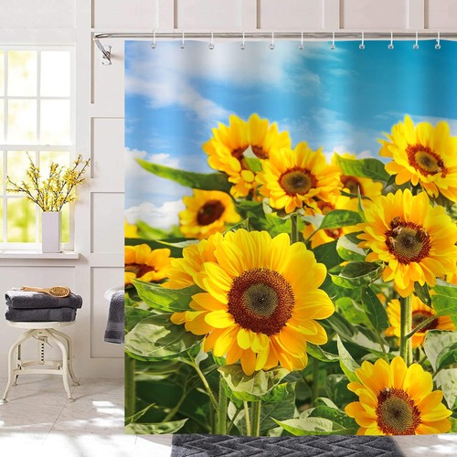 Bonhause sunflower garden - bonhause,