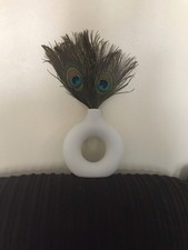 Peacock Feathers In White Vase