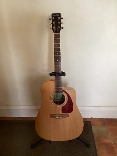 Electro acoustic guitar - electro,