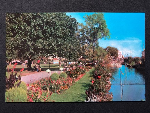 The lawn dawlish devon - the,