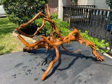 DRIFTWOOD AQUARIUMS FISH