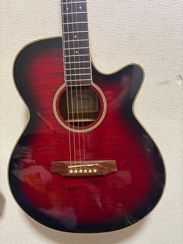 Ibanez aeg450 acoustic guitar - ibanez,