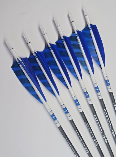 Goldtip warriors arrows for