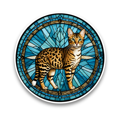 Cute bengal cat kitten - cat,