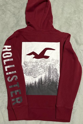 Hollister burgundy mountain - burgundy,
