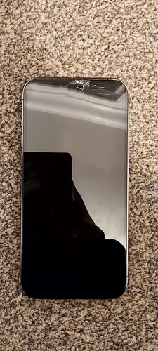 Iphone pro max - 12, 256gb
