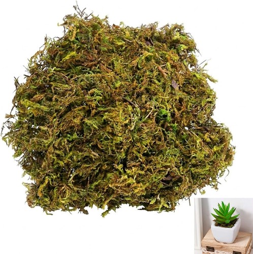 Daqun 100g artificial - 100g,