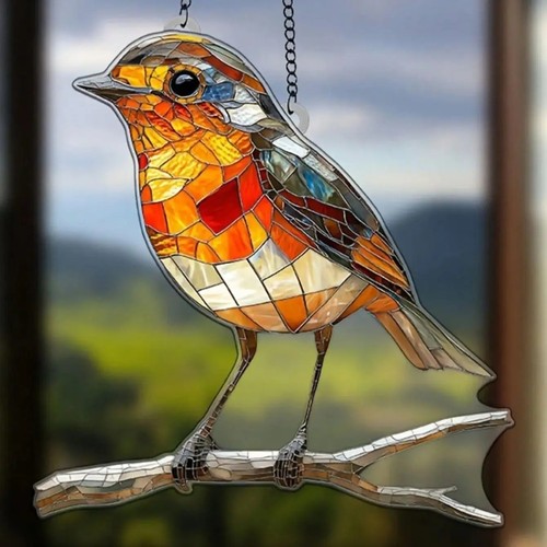 Large robin bird - robin, on