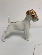 (RefJOH37) Fox Terrier