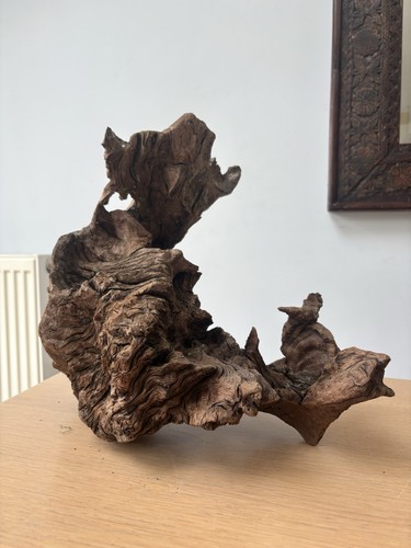 Large bogwood centre - piece, for