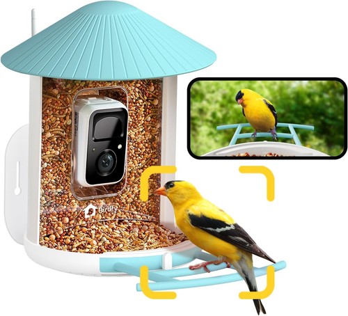 Netvue birdfy smart - by,