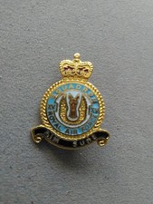 Raf badge squadron - raf,