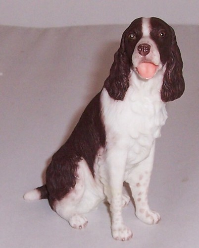 Best breed english - best, of