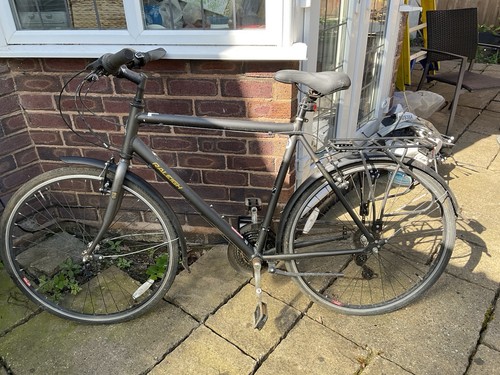 Raleigh pioneer bike - pioneer,