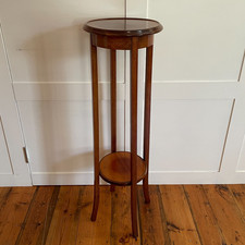 Edwardian Antique Wooden Plant