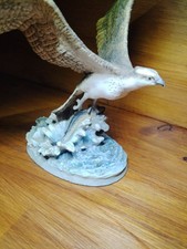 Border Fine Arts Osprey by Ray