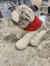 F. A. O SCHNAUZER PUPPY DOG