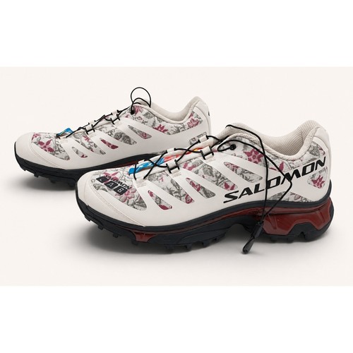 Salomon og needlepoint - xt-4,