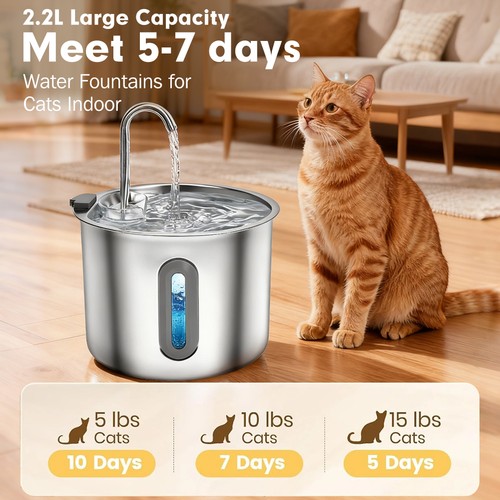 Cat water fountain for - water,