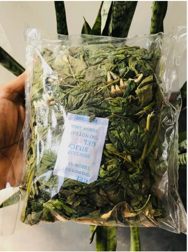 Dried mexican dream herb - mexican,