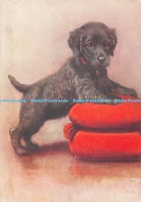 R383144 The Irish Water Spaniel Dog No 9 of a series of 30 cards De Reszke Godfr