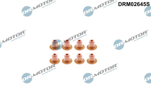 Seal ring valve stem - ring,,