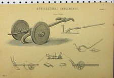 Original Old Antique Print