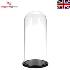 Glass Tall Cloche Dome with
