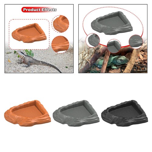 Reptile water dish corner - reptile,