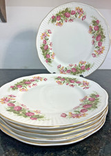 Bone China Dinner Plates Set 6