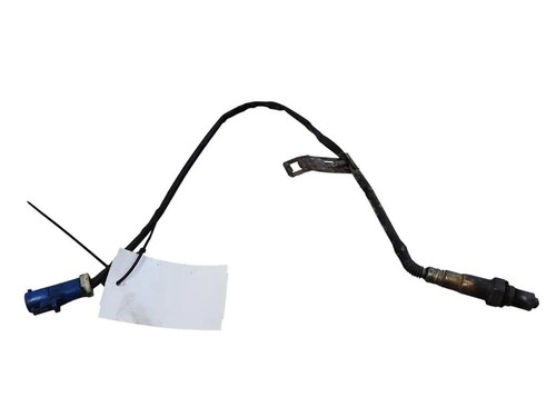 Ford focus max oxygen sensor - focus,