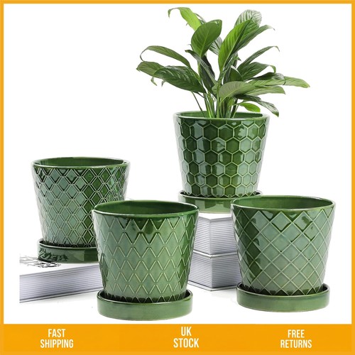 Elegant glazed striped - glazed,