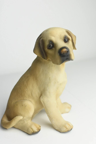 Vintage yellow labrador - vintage,