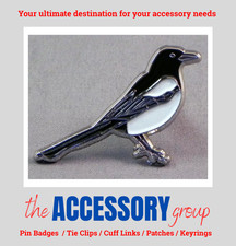 New Magpie wild bird Corvidae