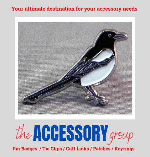 New magpie wild bird corvidae - magpie,