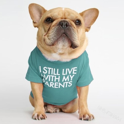 Breathable summer dog clothes - summer,