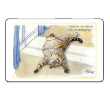 Cat Fridge Magnet Alisons