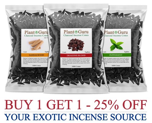 1000 charcoal incense - charcoal,