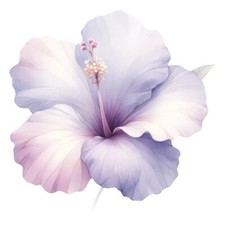 9x9cm flower wall decal