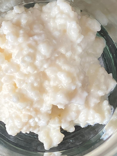 10g active probiotic - active, kefir