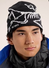 Arc'teryx Bird Head Toque -