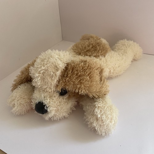 Grove international dog - grove, puppy