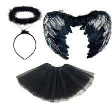 Dark Angel Wings and Halo
