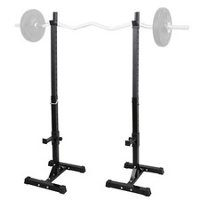 Squat Rack Adjustable Bench