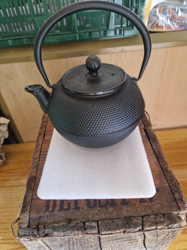Tetsubin cast iron teapot - tetsubin,